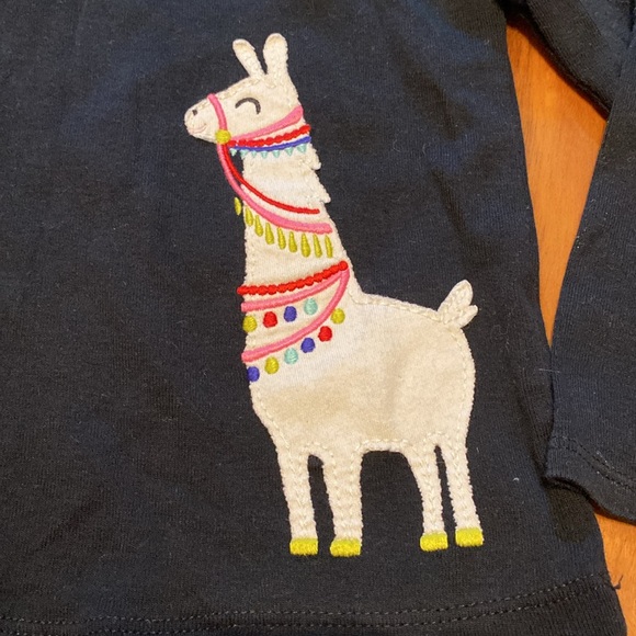 Girl’s Size 2 Long-sleeve T-shirts Bundle: Carter’s Llama & Children’s Place Owl - Picture 8 of 9